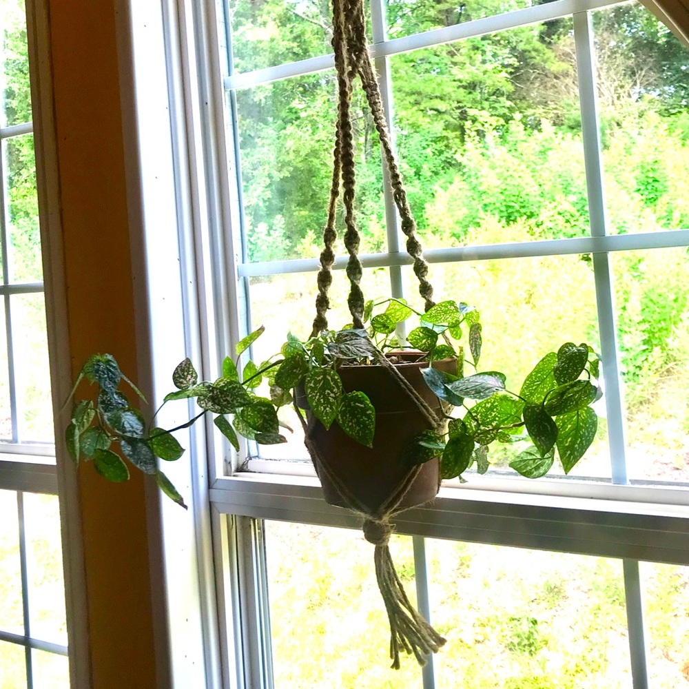 Handmade Macrame Plant Hanger